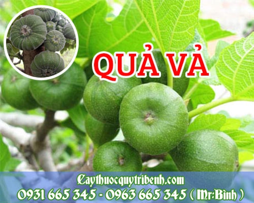 Quả Vả T.ươi 1KG Chất Lượng - Thanh Bình
