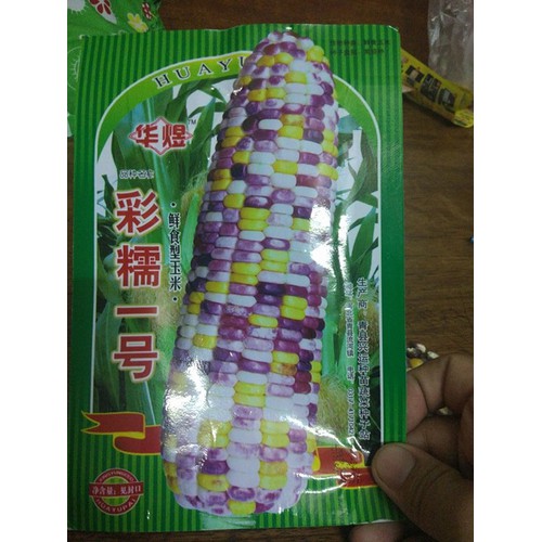"Gói 30 Hạt " Hạt giống ngô nhiều màu ( ngô kim cương )