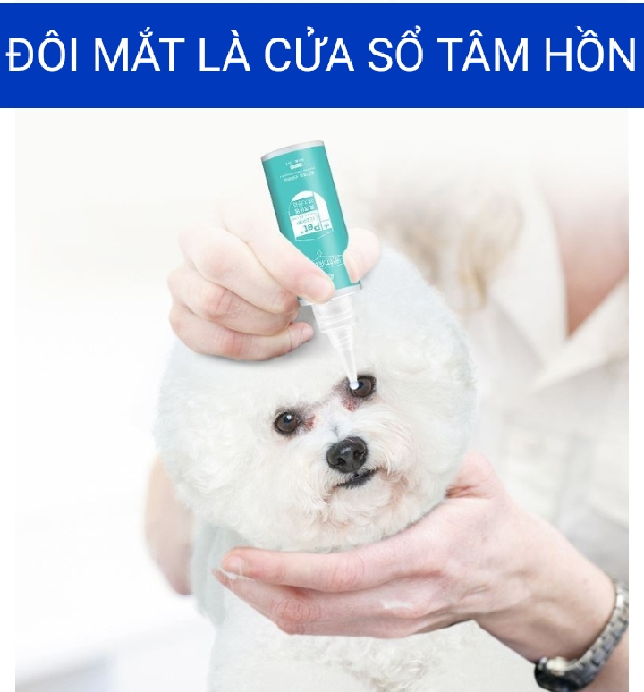 Nhỏ mắt cho chó mèo Dorrikey chai lớn 60ml