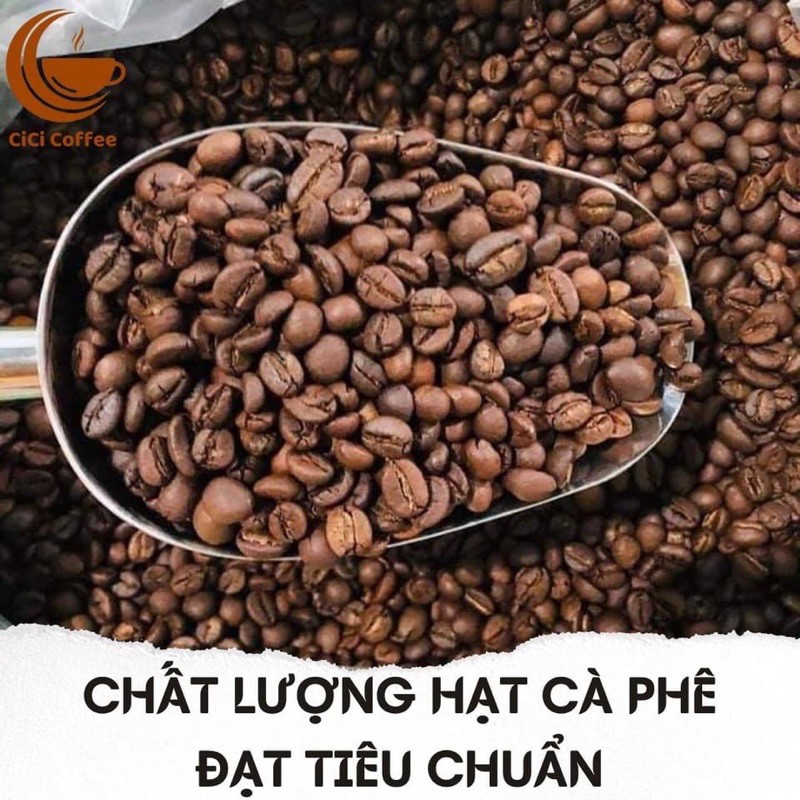 Cà Phê Hạt Robusta Nguyên Chất Rang Mộc 100% (ban mê xanh store)