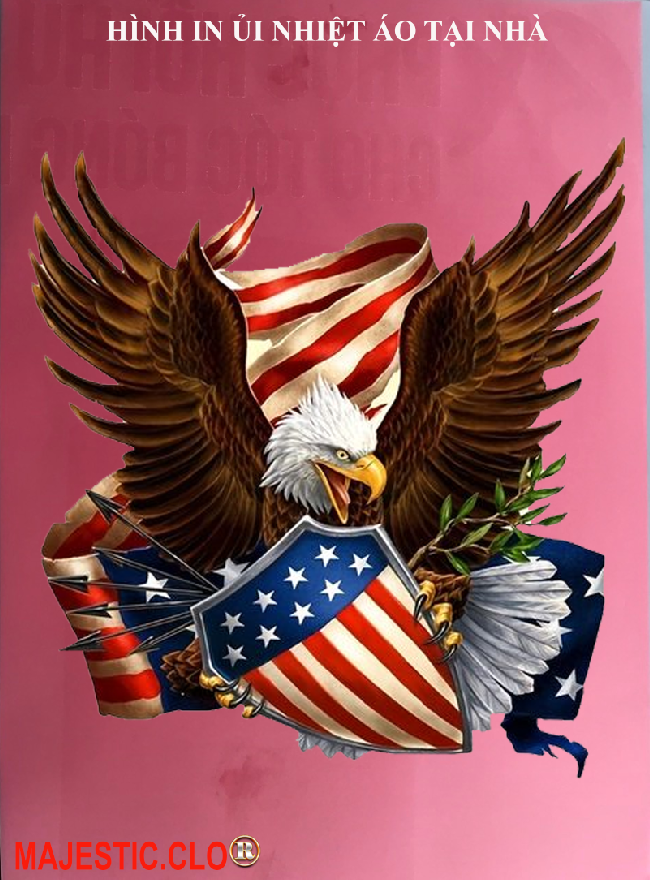 Eagle american for iron the shirt at home