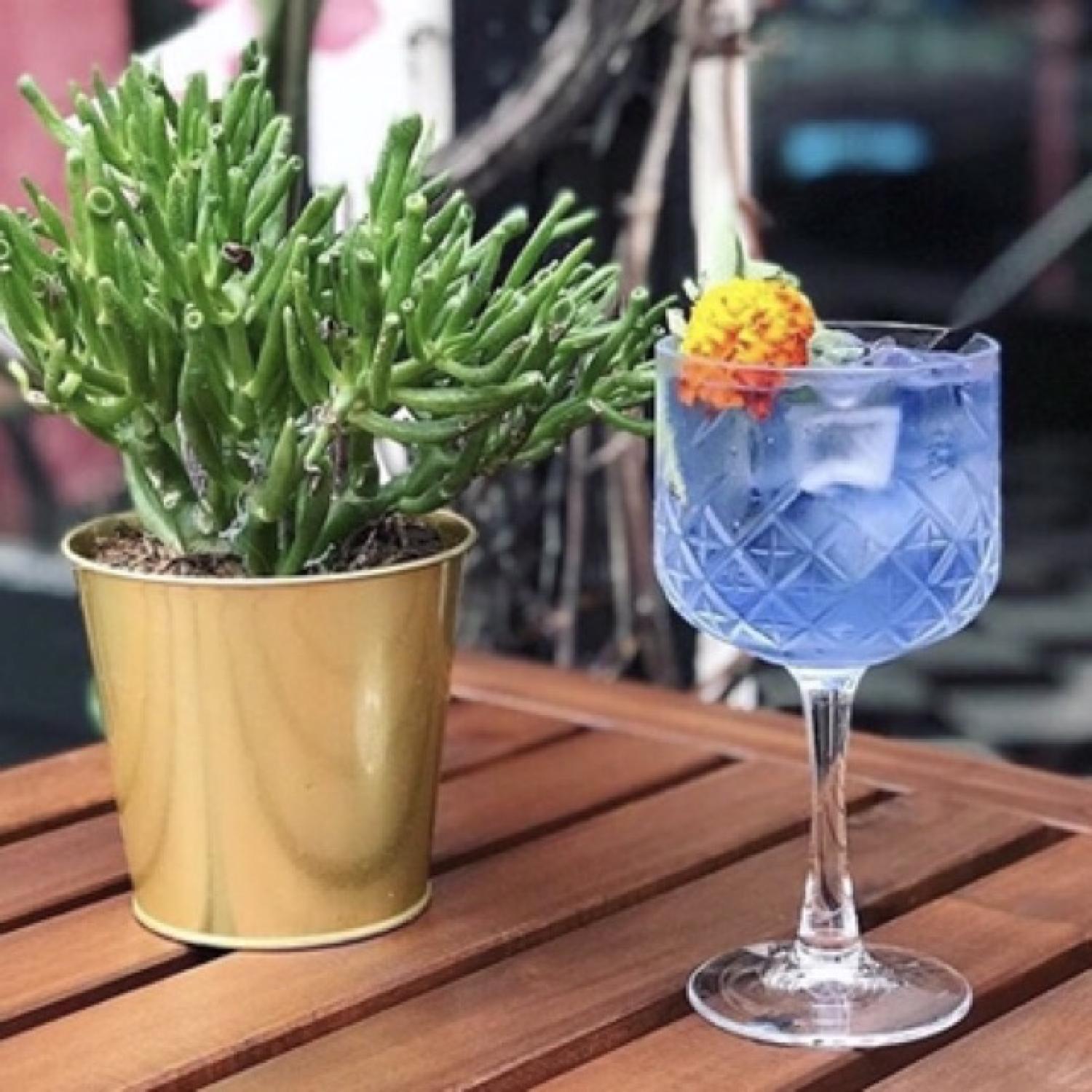 440237 - Gin Tonic Glass - Ly Thủy Tinh