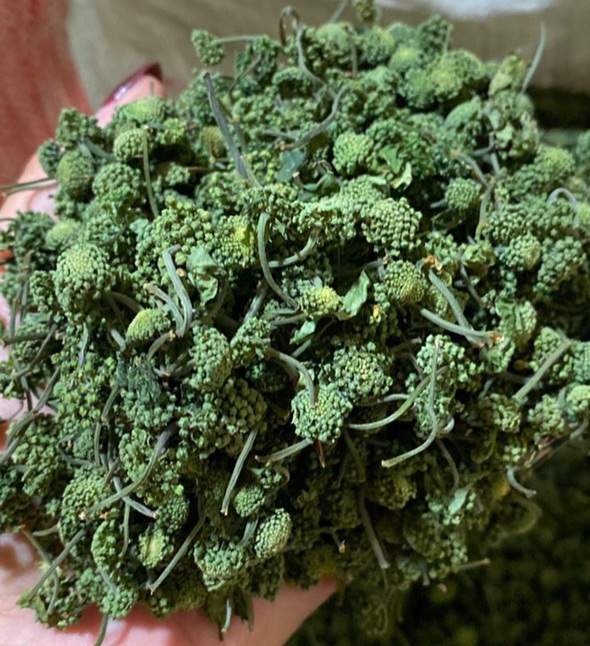 1kg Nụ hoa tam thất