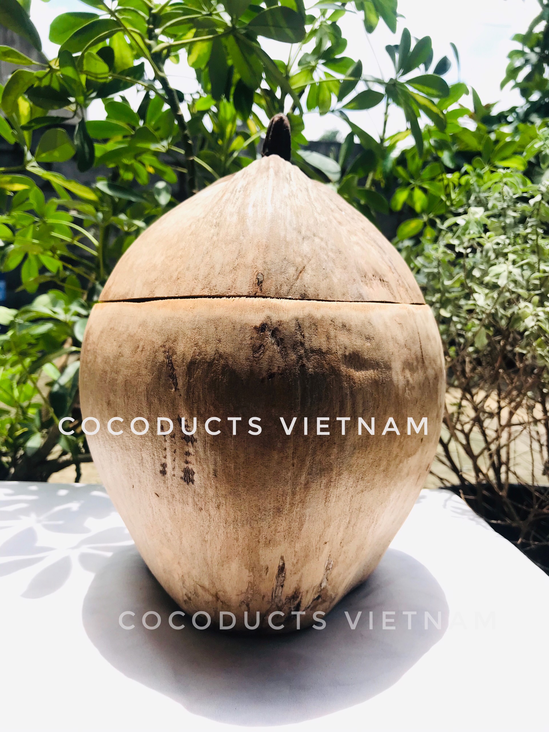 [HCM]Vỏ bình trà gáo dừa truyền thống