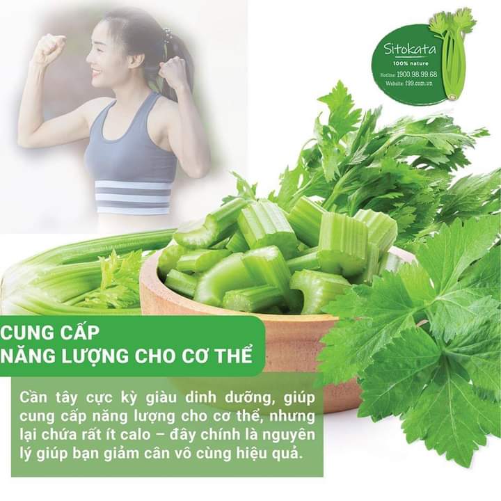 COMBO 2 Hộp Cần Tây SITOKATA - Giảm Cân - Đẹp Da  ( Tặng Kèm chai + Cẩm nang giảm cân )