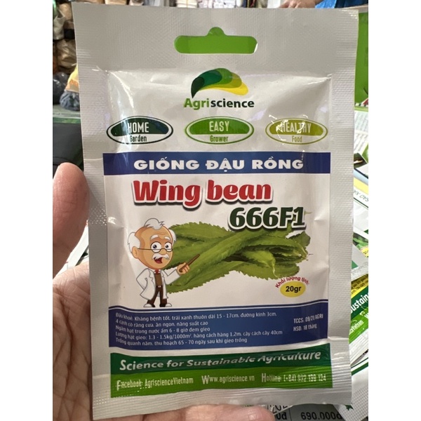 HẠT GIỐNG ĐẬU RỒNG( hàng y hình)