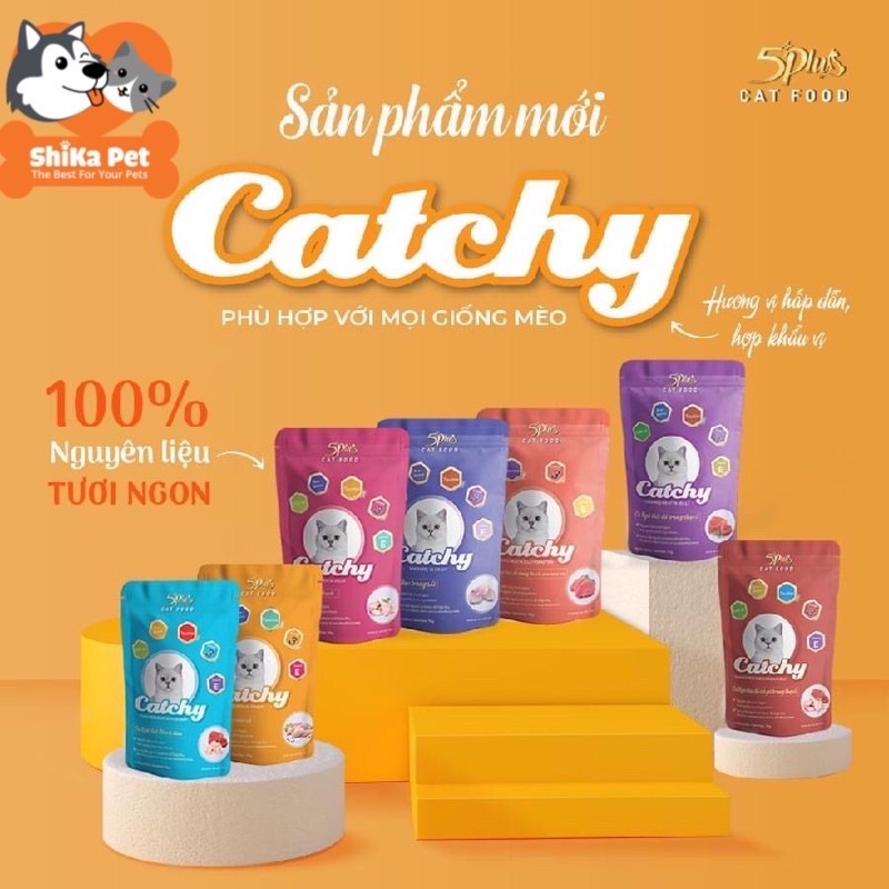 1 THÙNG (48 GÓI 70G) PATE 5PLUS CATCHY CHO MÈO