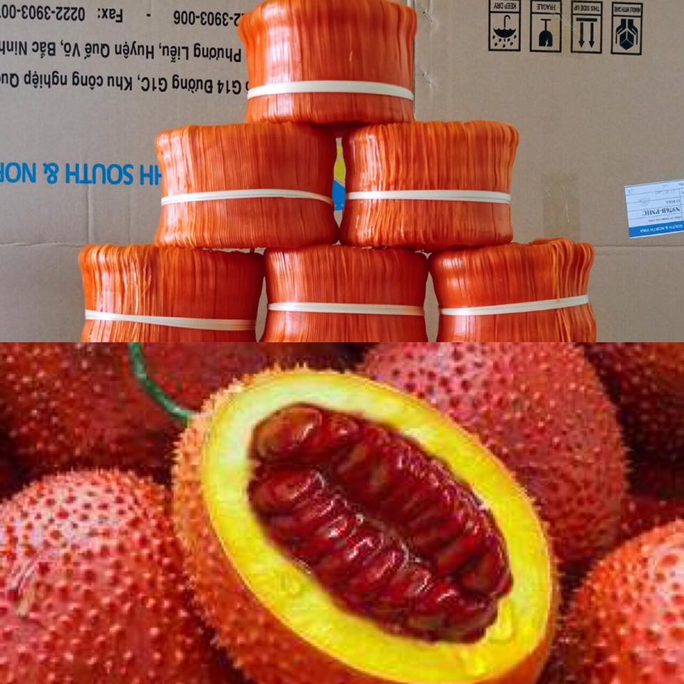 MỲ GẠO CHŨ RAU CỦ (MIX 5 đến 8 LOẠI RAU CỦ) TÚI 1KG
