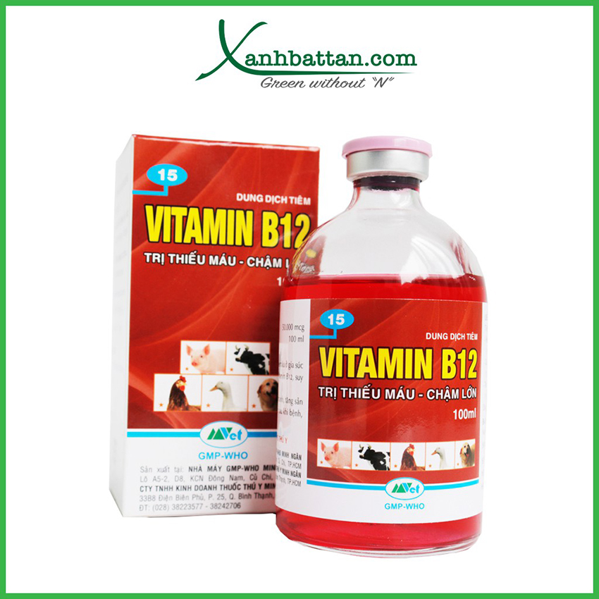 Chế Phẩm B12 Giải Độc Cho Cây Trồng 100ml