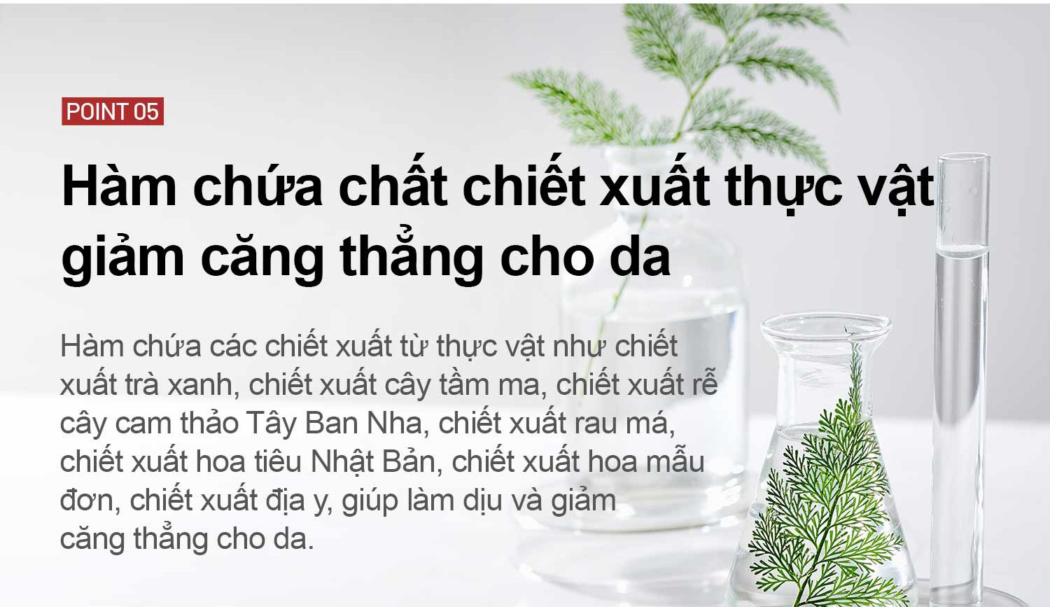 Tế Bào Gốc Nội Sinh Bio K (5ml Dùng thử)