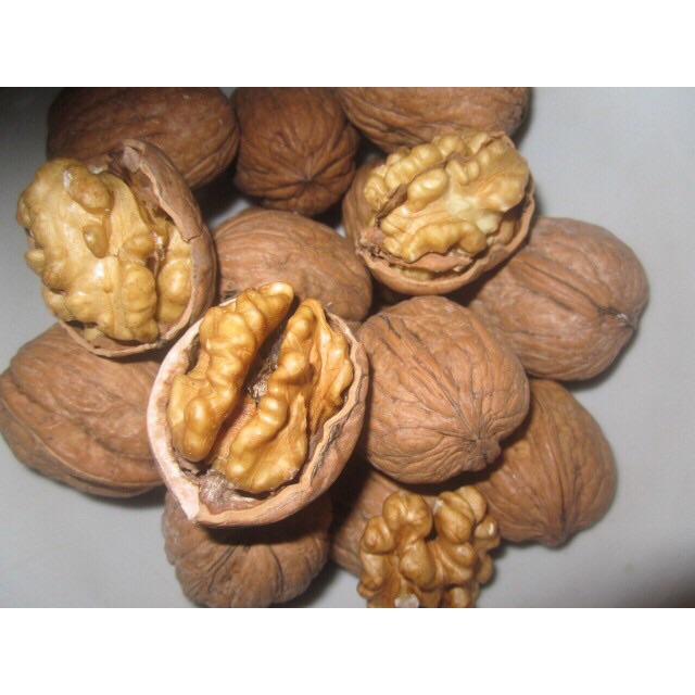 1Kg Óc Cho Sapa To Ngon Mẩy