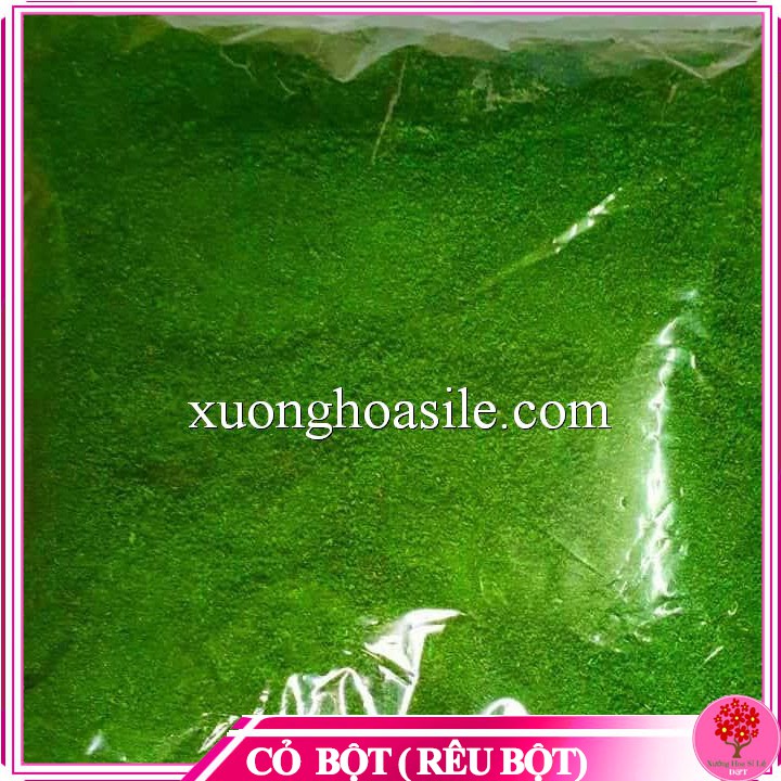 BỊCH TO CỎ BỘT RÊU BỘT TRANG TRÍ CHẬU CẢNH 900GR