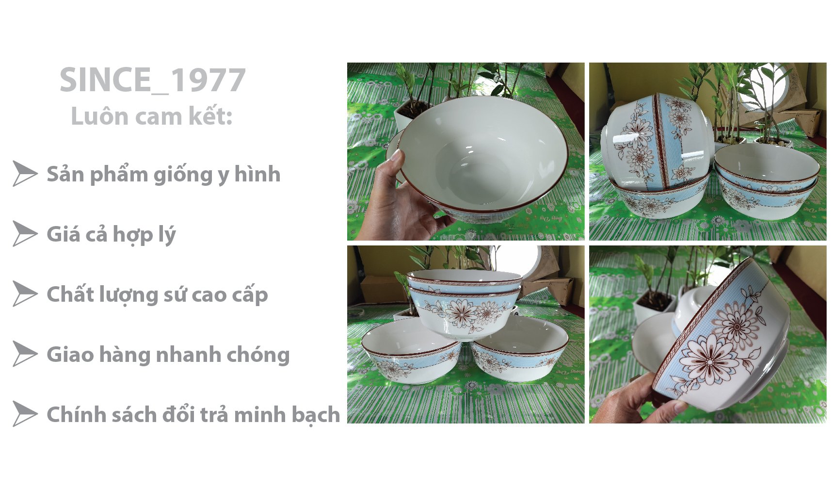 TÔ 6 4D107 SỨ BÁT BẢO CAO CẤP, sINCE_1977