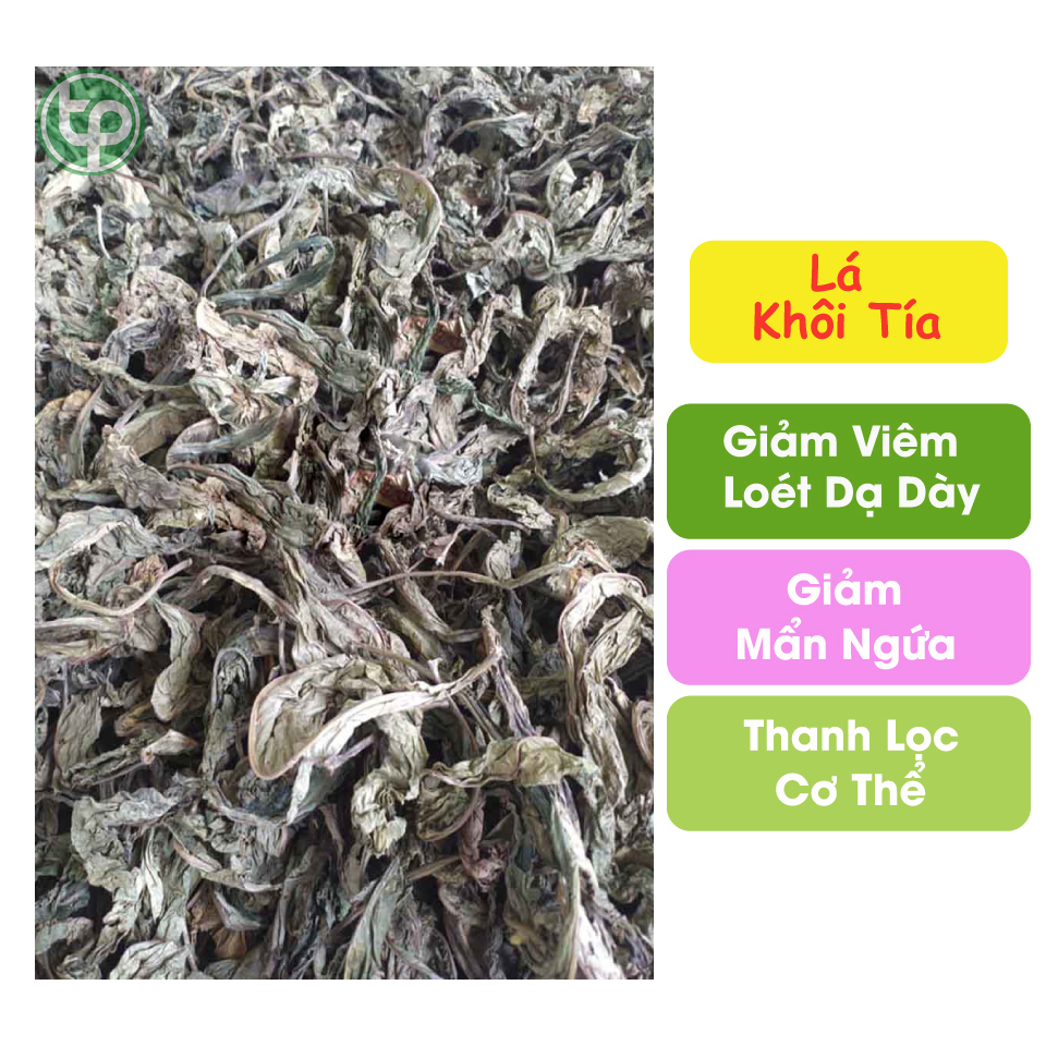 [Trà khô cao cấp] Lá khôi tía khô 200g - Dược Tấn Phát