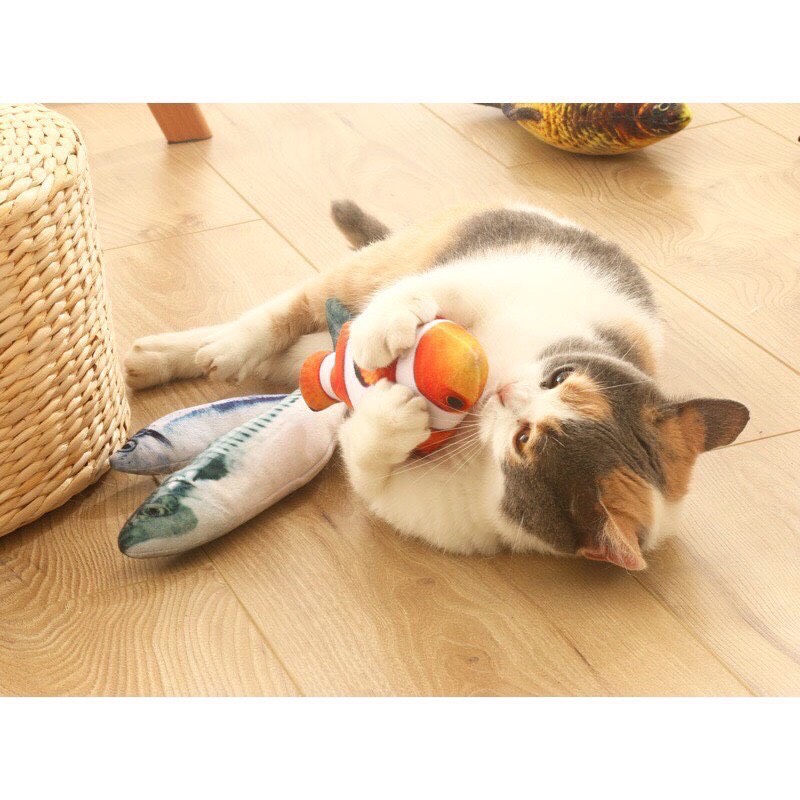 Cá đồ chơi Catnip cho chó mèo nhồi bông