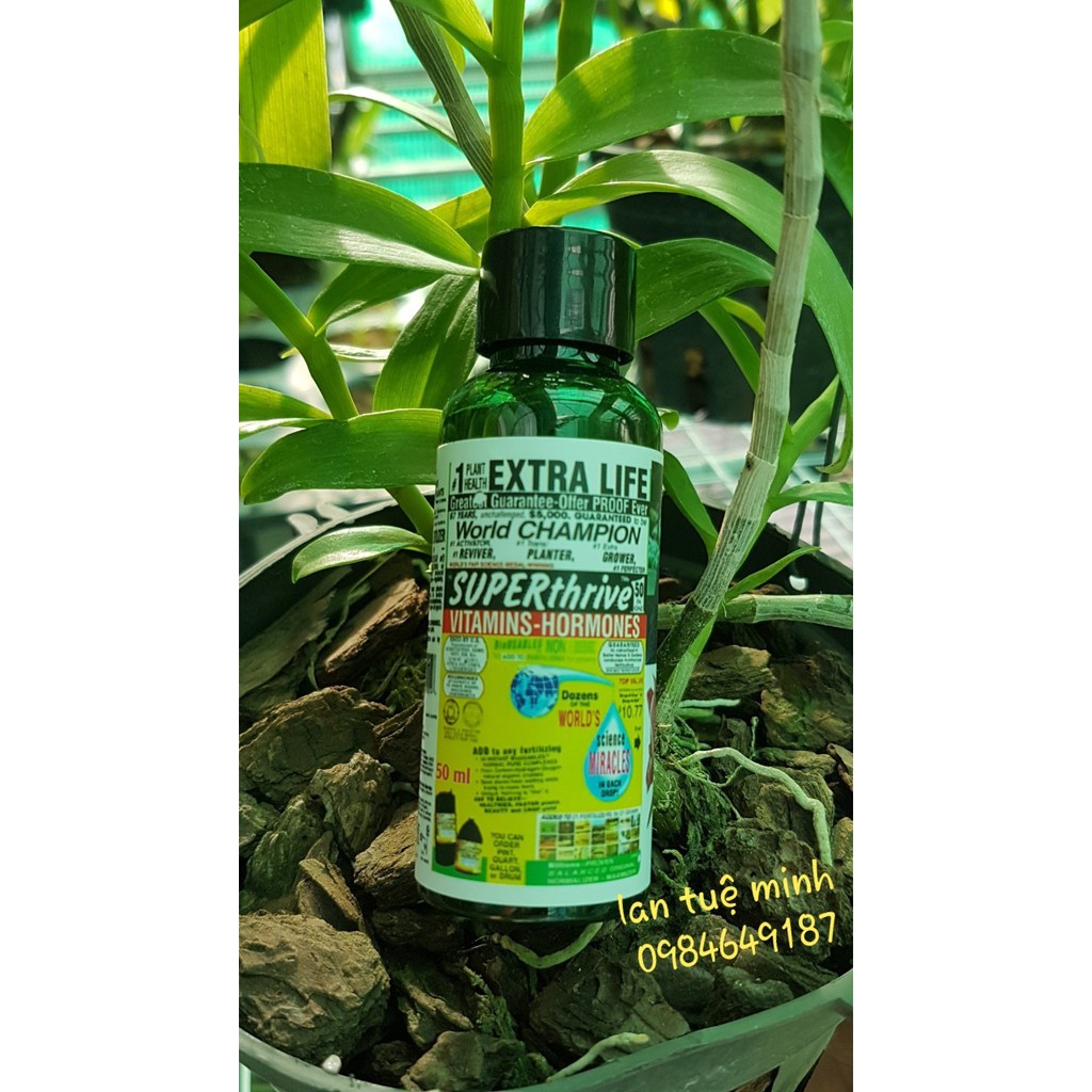 Superthrive 50ml – kích thích tăng trưởng cho cây cảnh-hoa lan, cam kết hàng đúng mô tả, chất lượng đảm bảo an toàn đến sức khỏe người sử dụng