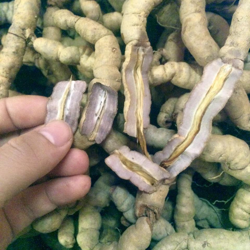 Ba Kích Tím Loại 1 Túi 100G