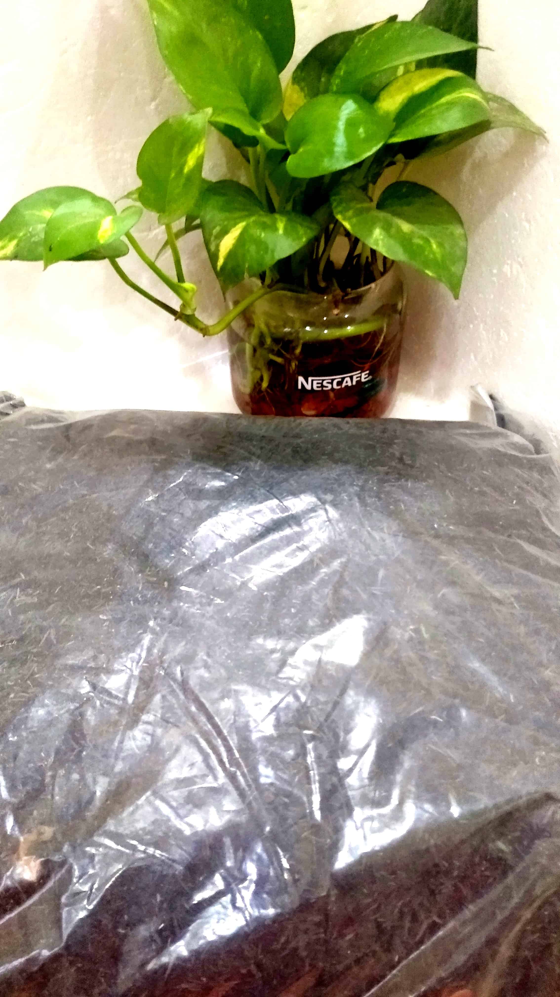 Tro trấu 1kg