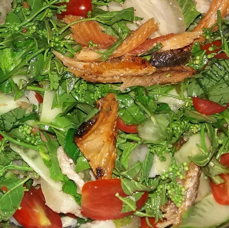 Cây Sầu Đâu Giống