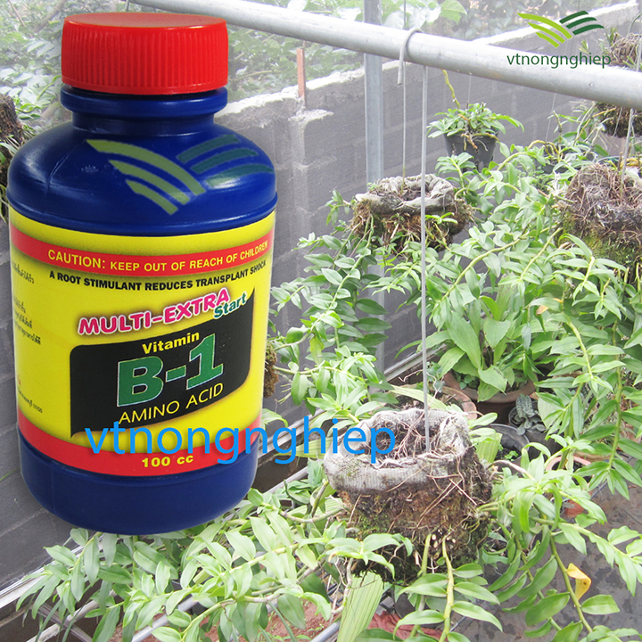 Vitamin B1 Thailand-foliar fertilizer stimulation, growth regulators for plants.