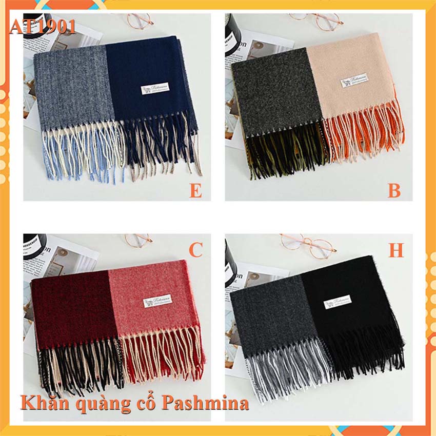 [HCM]Khăn choàng cổ nữ PASHMINA- Khăn choàng nữ cao cấp AT1901