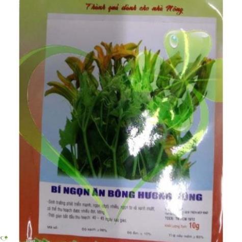 HẠT BÍ NGỌN ĂN BÔNG - GÓI 10 GRAM