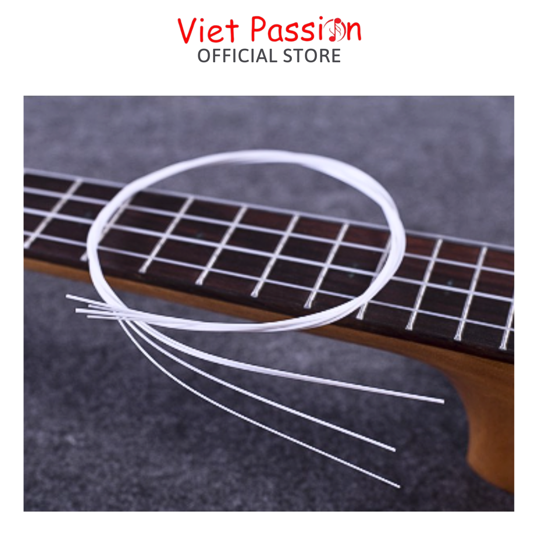 Dây đàn ukulele Aquila chất lượng Viet Passion HCM