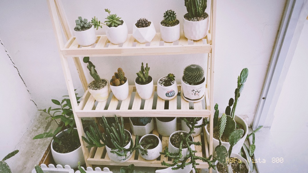 Kệ gỗ để đồ chữ A 3 ngăn