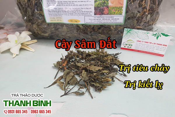 Cây Sâm Đất Khô 100g Hàng Chất Lượng- Dược Liệu Thanh Bình