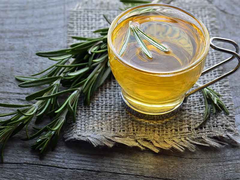 TRÀ HƯƠNG THẢO/ROSEMARY - MỘC HOA TRÀ