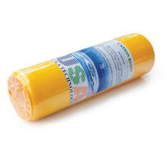 LÕI LỌC KHỦ ĐÁ VÔI CATION 10ich