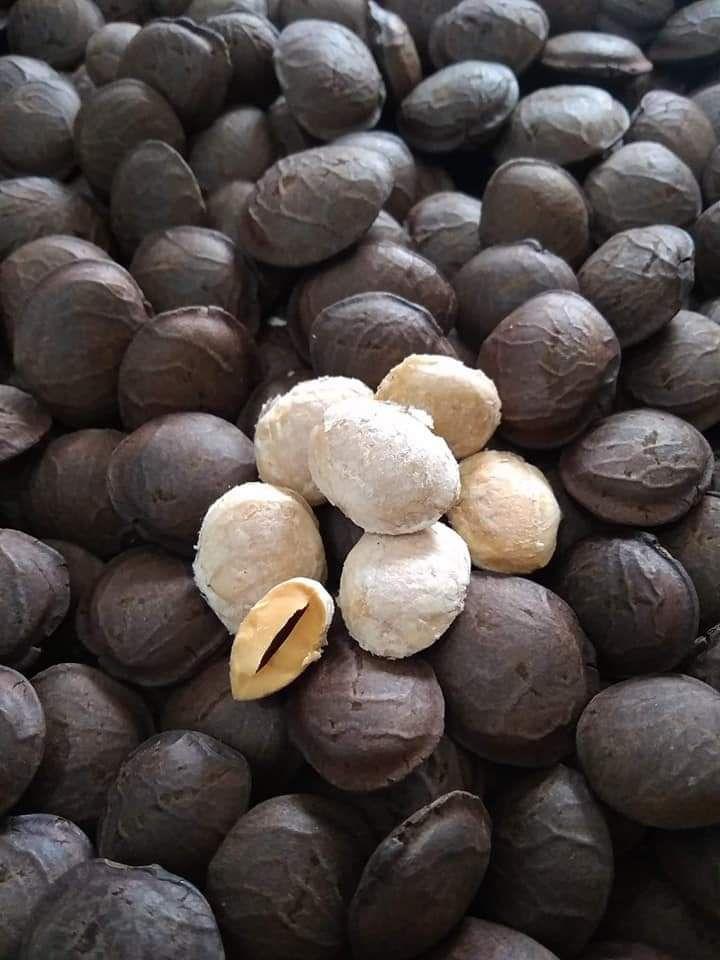 nhân sachi sấy chín 1kg