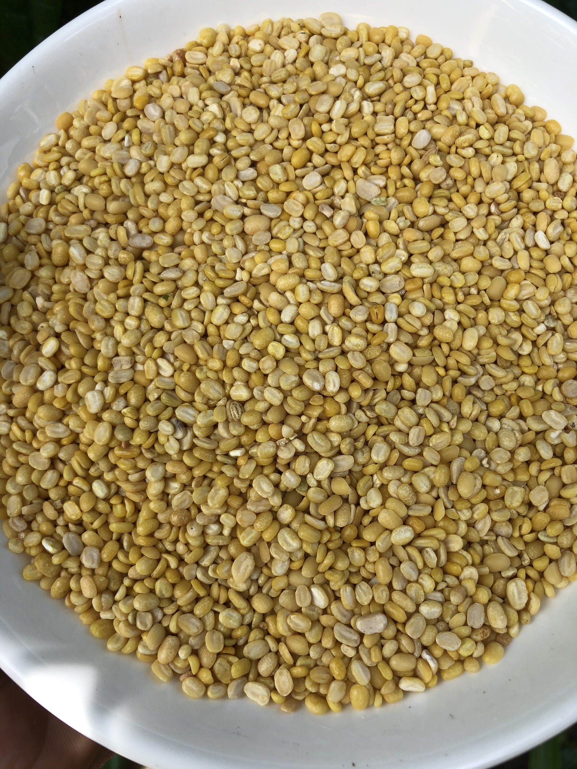 Đậu xanh đã bóc vỏ, cà sạch vỏ 500g