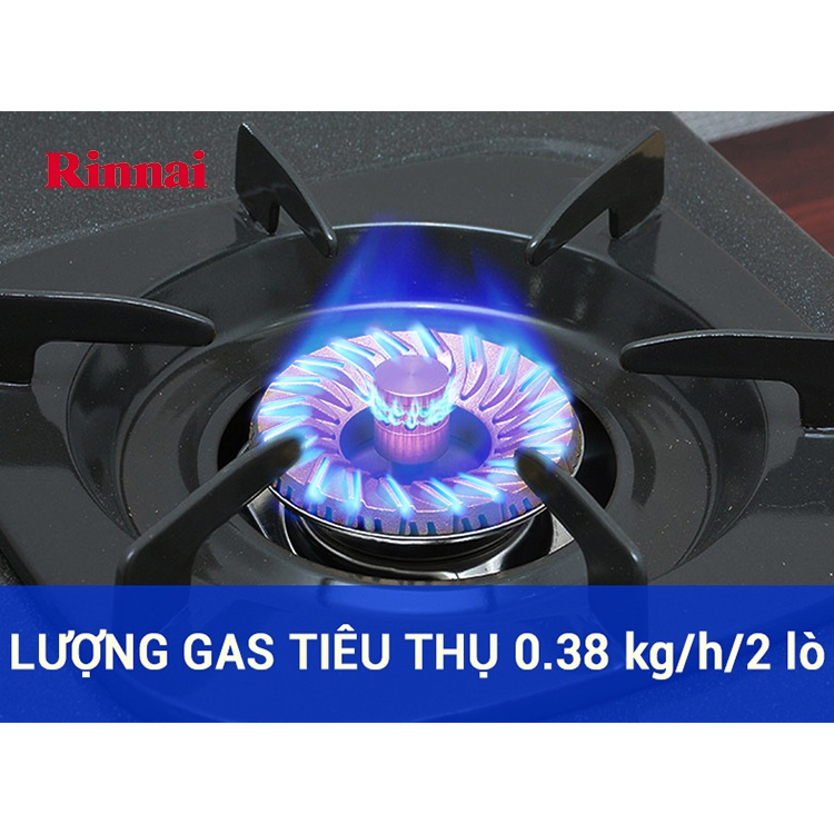 [HCM]Bếp gas đôi Rinnai RV-365(G)N (Đen)