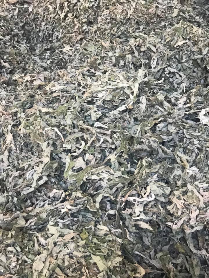 Dried Artichoke Leaves 1kg