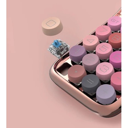MÁY TÍNH CẦM TAY - LOFREE MAKEUP