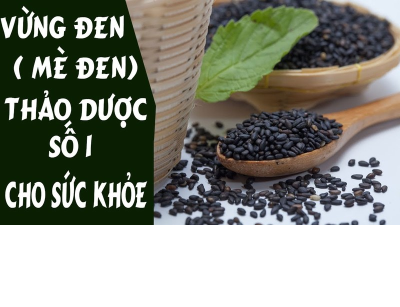 Mè đen cho hamster