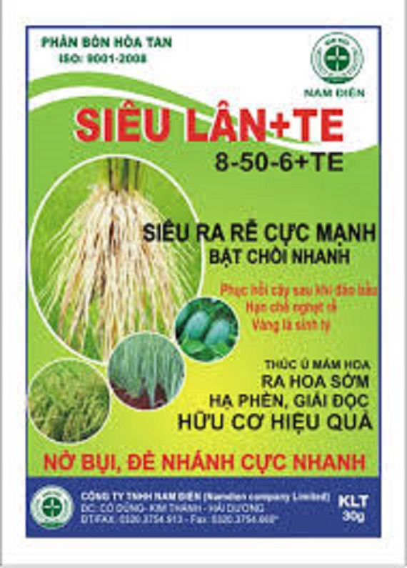 PHÂN BÓN SIÊU LÂN, SIÊU KÍCH RỄ, SIÊU KÍCH CHỒI
