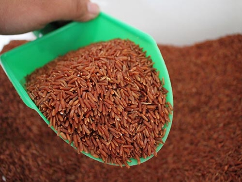 GẠO LỨT ĐỎ 1Kg_ Giảm cân khoa hoc