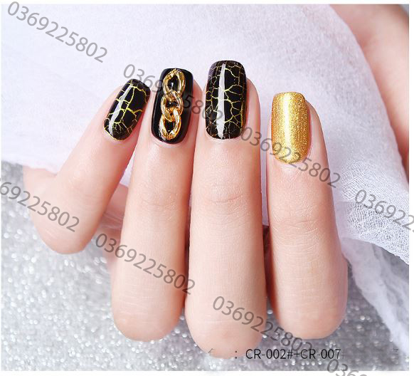 Set 9 chai sơn gel nứt CR