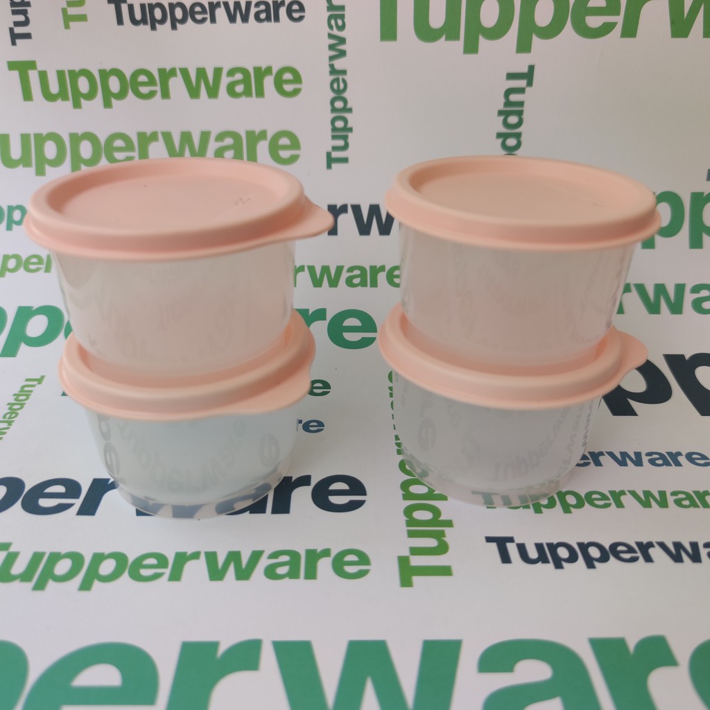 Hộp Bảo Quản Tupperware 💕Freeship Extra💕 Trữ đông / mát size Mini