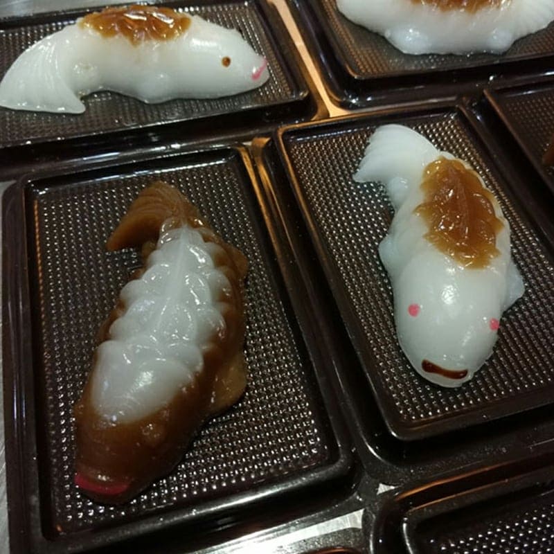 KHUÔN RAU CÂU NHỰA 6 CÁ CHÉP
