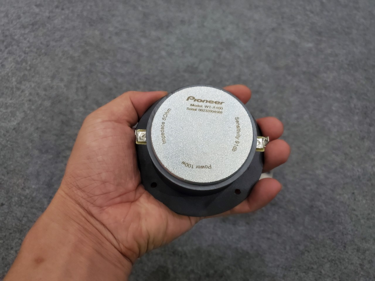 Cặp Củ Loa Treble Pioneer WT A100