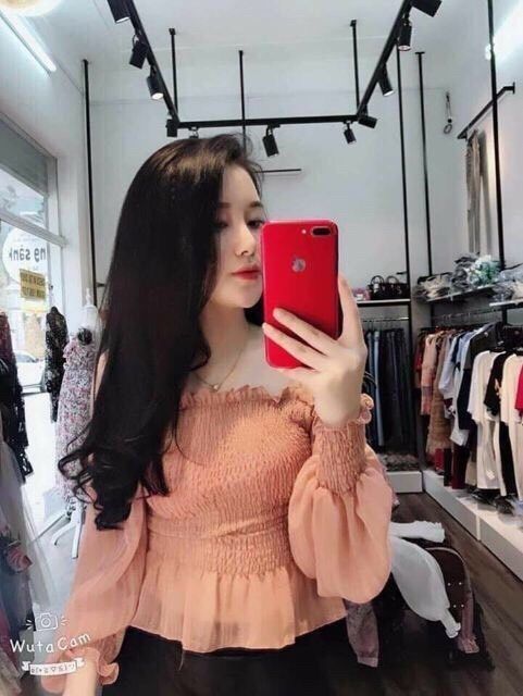 áo kiểu voan mỏng bo tay dễ thương