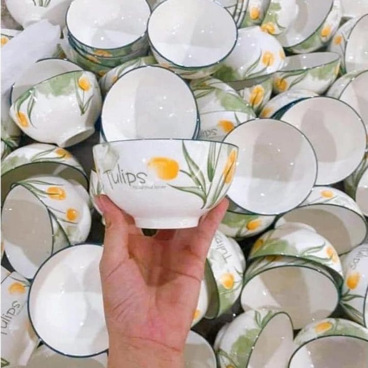 Bộ 6 chén, 10 chén sứ ăn cơm họa tiết hoa tulip đường kính 11.5cm, bát sứ chén sứ decor xinh xắn