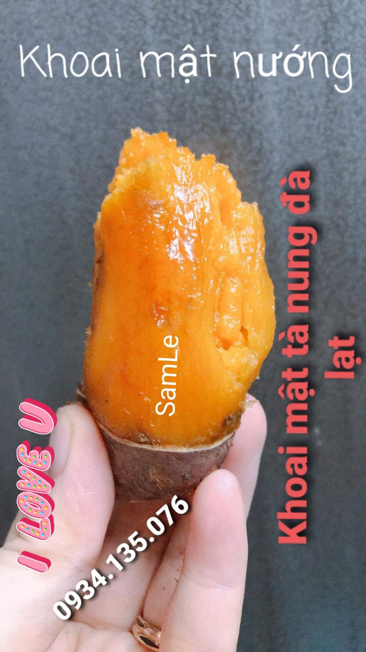 Khoai Lang Mật Trung (7-10 CỦ) [ Combo 3 ký  TẶNG 1 Ký ]
