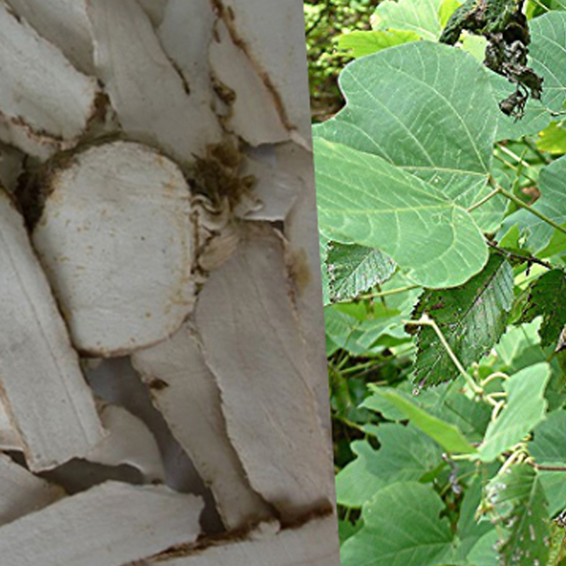 Cát căn (Củ sắn dây) 1KG KHÔ - DV381