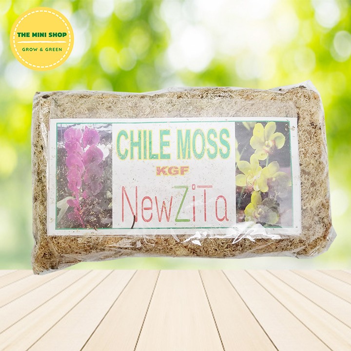 Dớn chile moss - dớn mềm trồng lan 100g