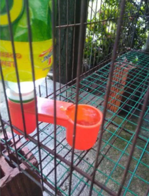 Máng, cóng C2 uống nước tự động cho gà, chim