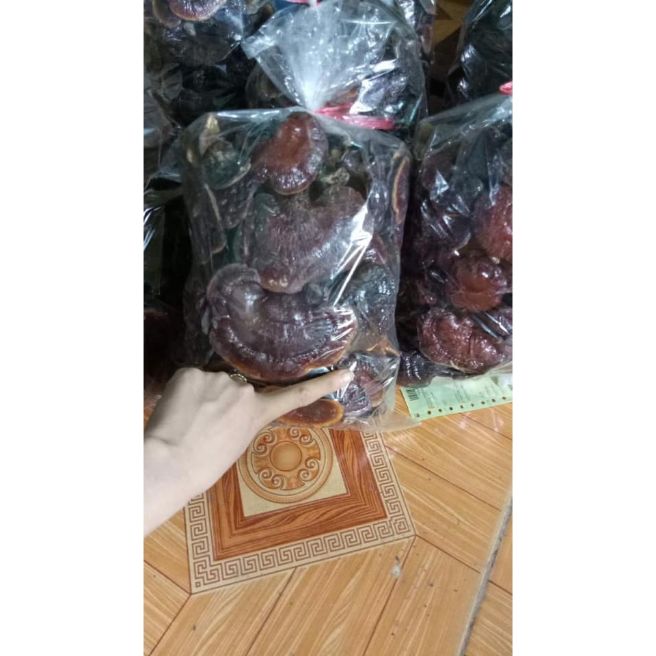 100g nấm lim xanh